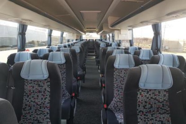 Coachman