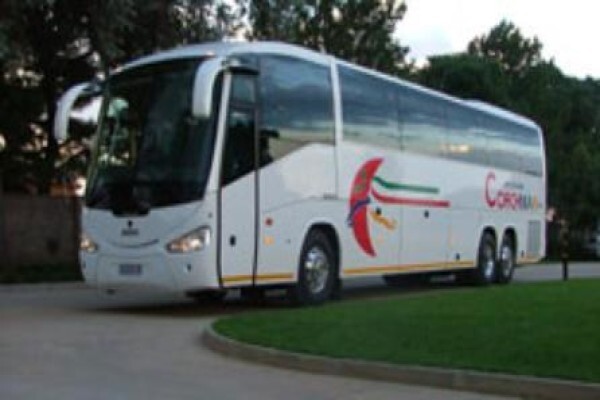 Coachman