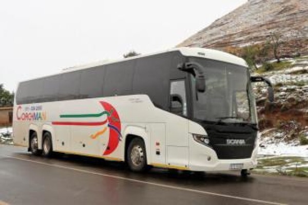 Coachman