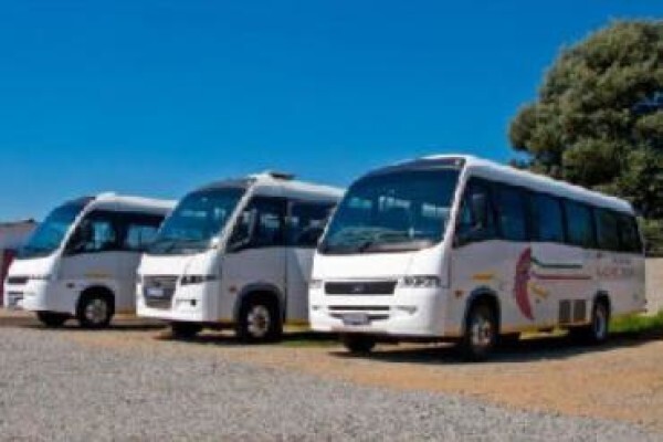 Coachman