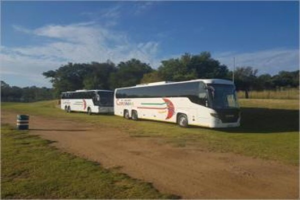 Coachman