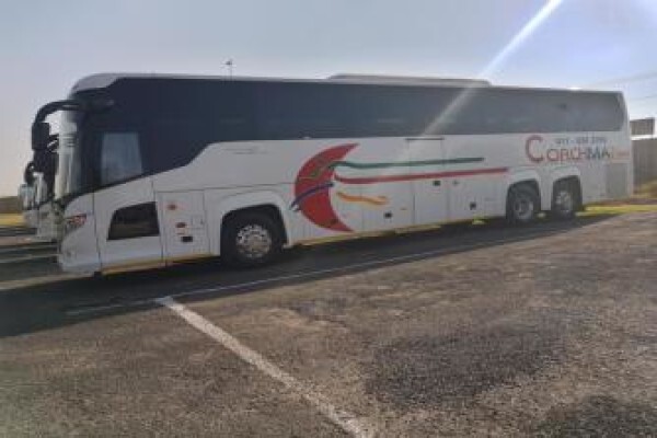 Coachman