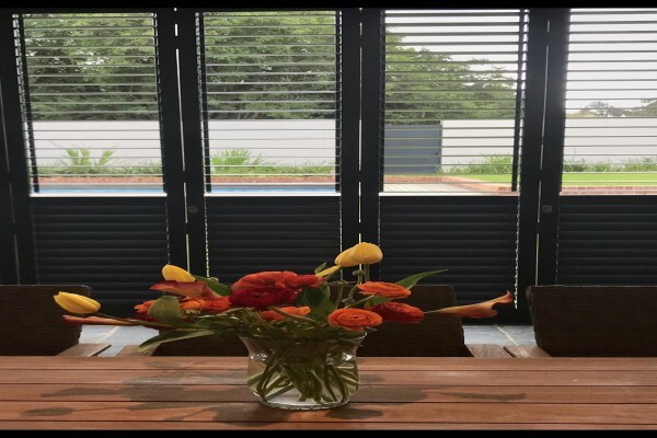 Stellenbosch Blindings & Hortjies