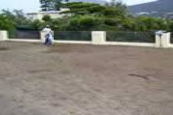 Quick Lawn