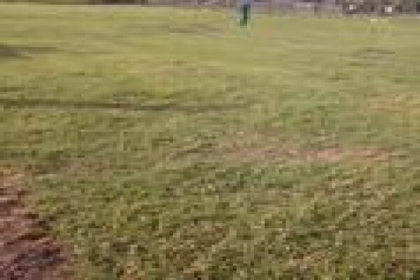 Quick Lawn