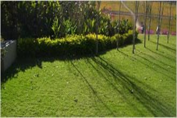 Quick Lawn
