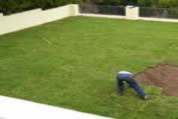 Quick Lawn