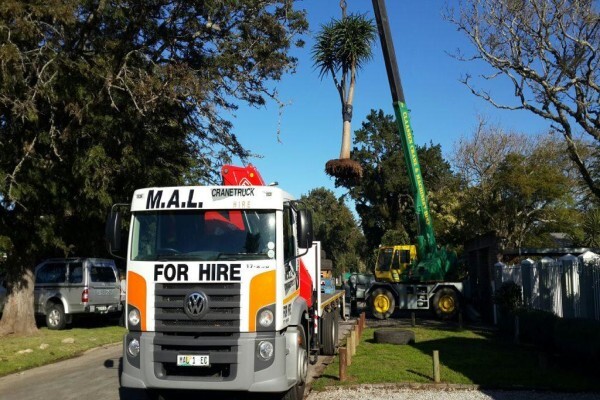 M A L Forklift Hire