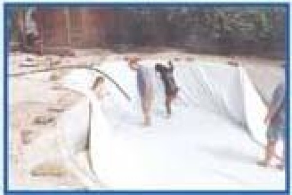Water Wise Liners