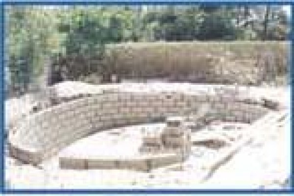 Water Wise Liners