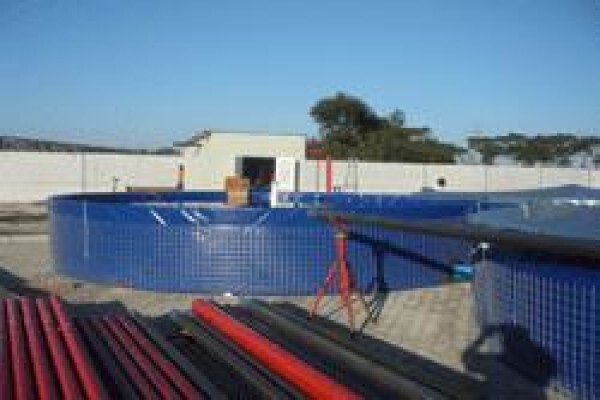 Water Wise Liners