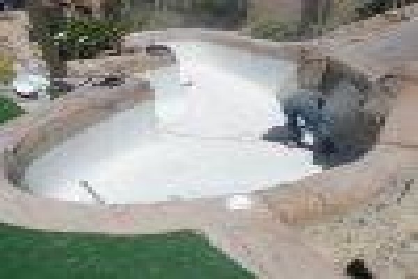 Friendly Pools