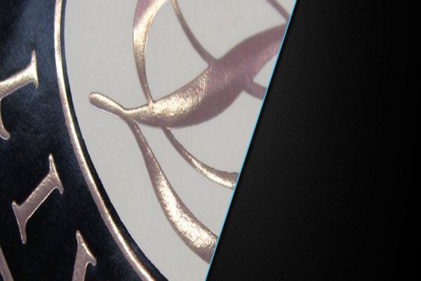 SCREEN IMAGE