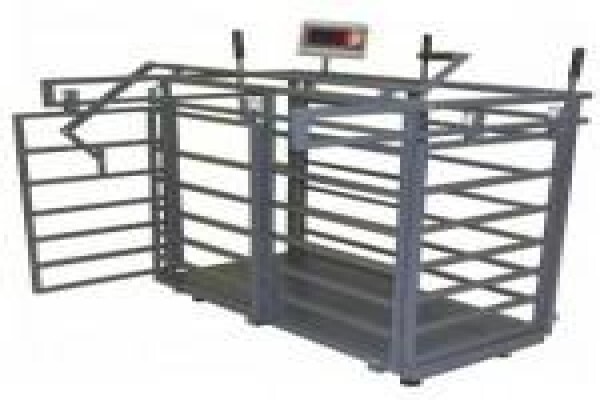 Trade Scales