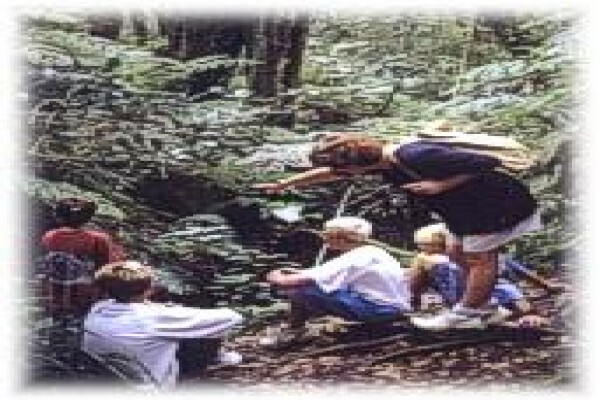 Island Lake Caravan Park
