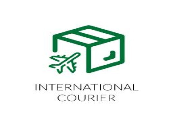 Pioneer Freight