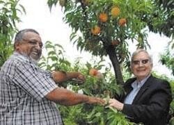Agriculture
