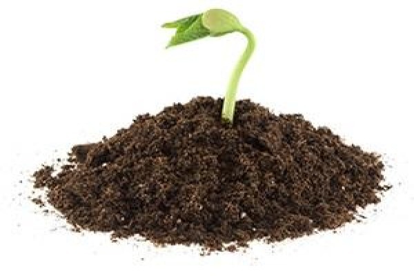 Zantow Environmental Consulting Services