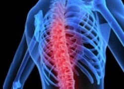 Benoni Chiropractic Centre