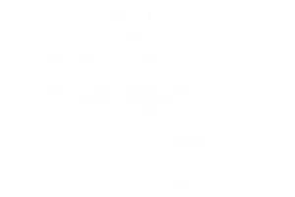 Conlon & Associates
