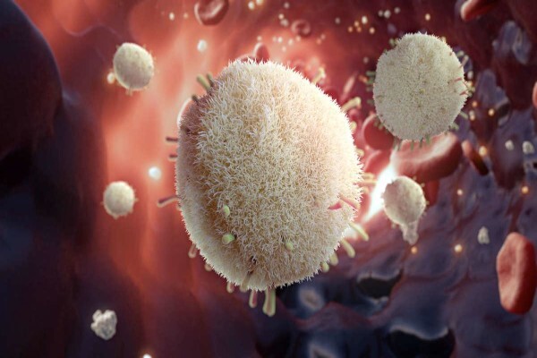 Astra Zeneca Pharmaceuticals