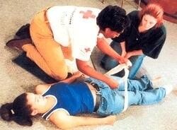 EMFT Training