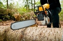 Alfa Tree Felling