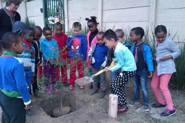 Little Lambs Pre-School
