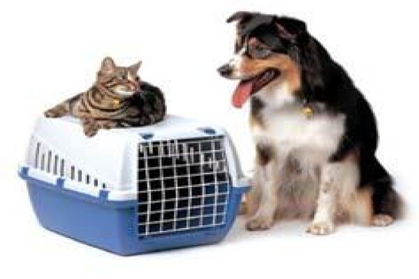Busybee Removals