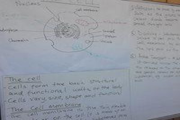 Motheo Training Institute Trust