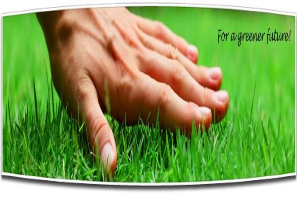 Mowtown Lawnmowers (Pty) Ltd