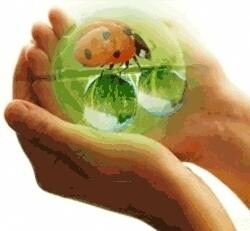 New Era Pest & Weed Control (Pty) Ltd