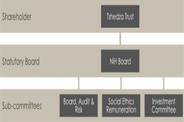 Nehawu Investment Holdings (Pty) Ltd