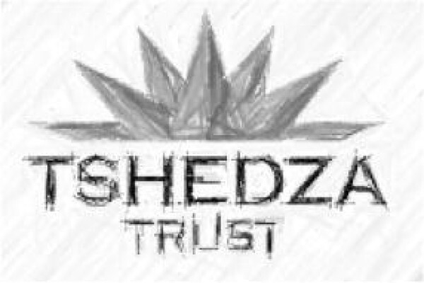 Nehawu Investment Holdings (Pty) Ltd