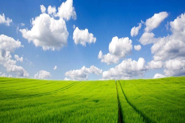 About Air Pollution