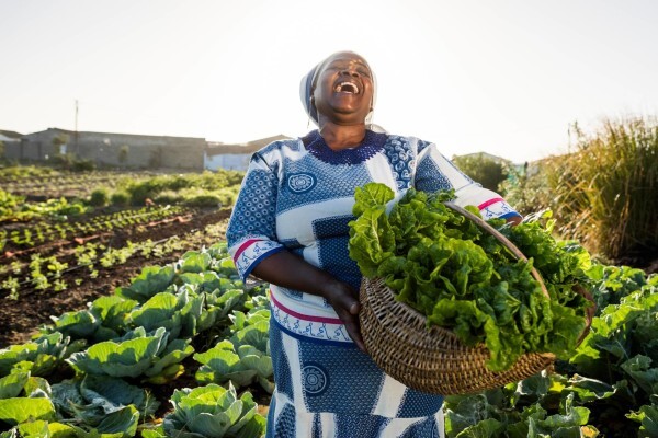 Southern Africa Trust