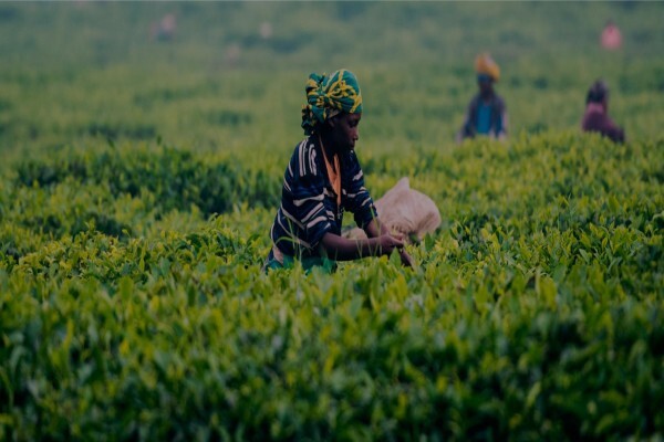 Southern Africa Trust