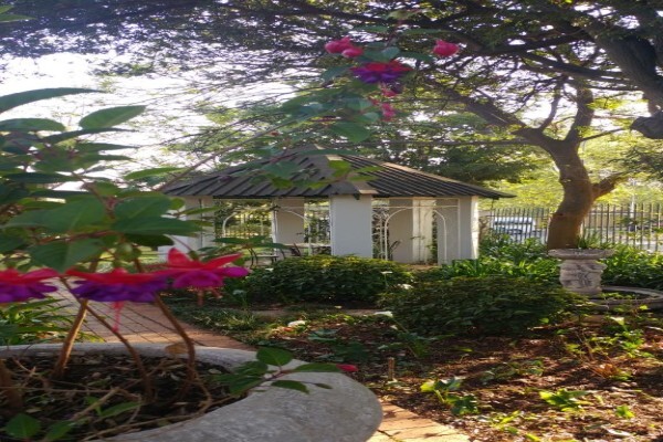 AUCKLAND LODGE Guest House