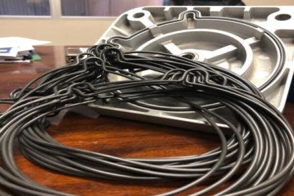 Seal & Gasket Supplies (Pty) Ltd