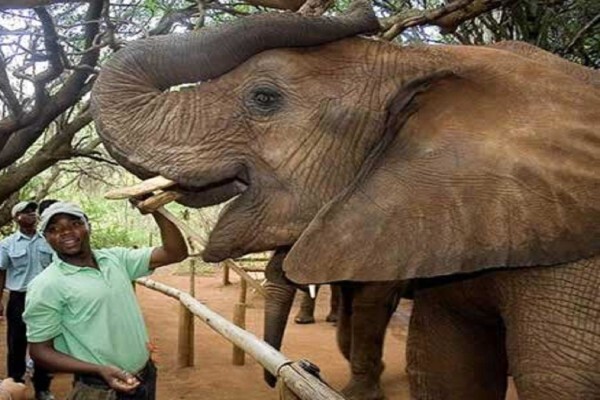 Eyethu Yarona International Travel & Tours