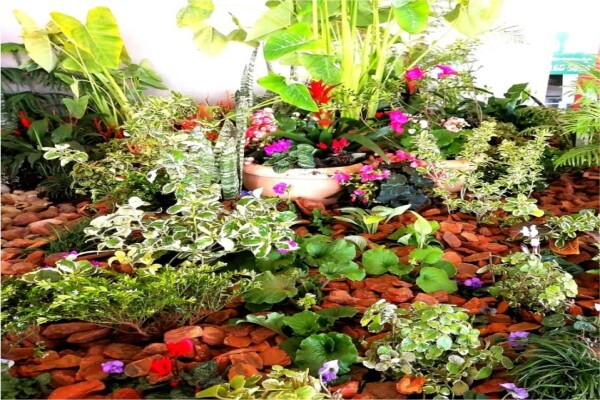Gardenshop FloraFarm