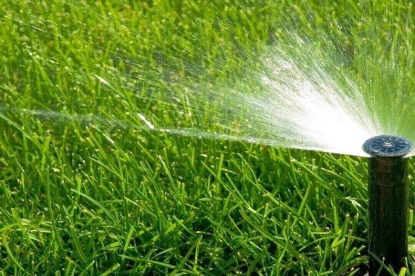 Lodricks Landscaping