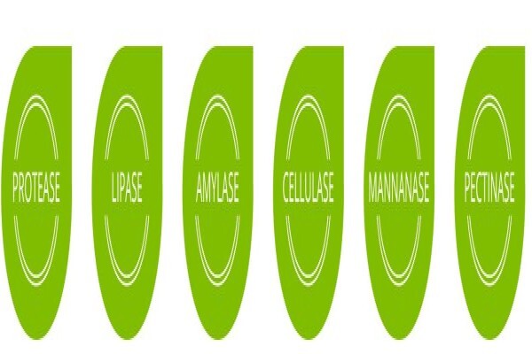 Green Worx Cleaning Solutions