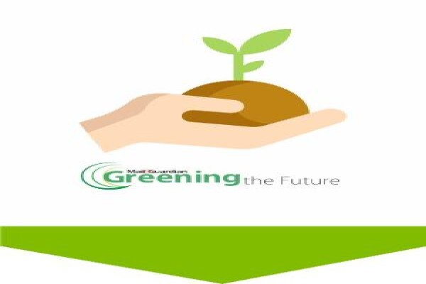 Green Worx Cleaning Solutions