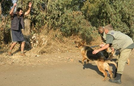 Zanmarheim K9 & Security Services (Pty Ltd)
