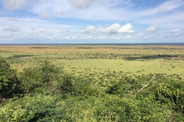 Private Kruger Park Safaris
