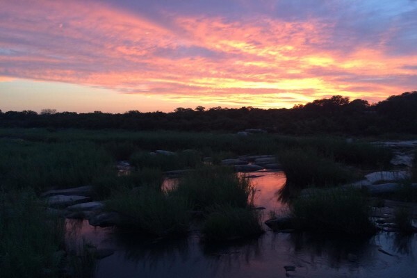 Private Kruger Park Safaris