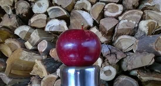 Hengro Fruit and Wood