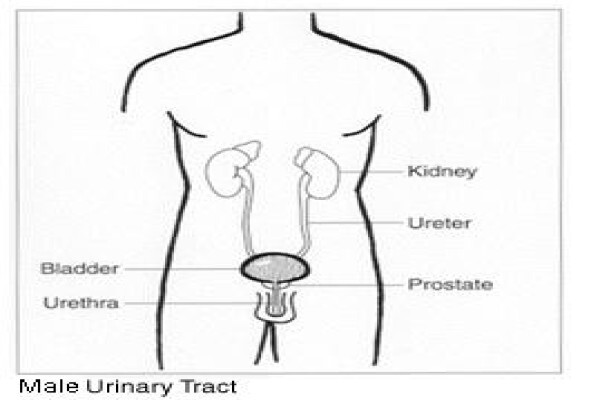 India Cancer Surgery Site