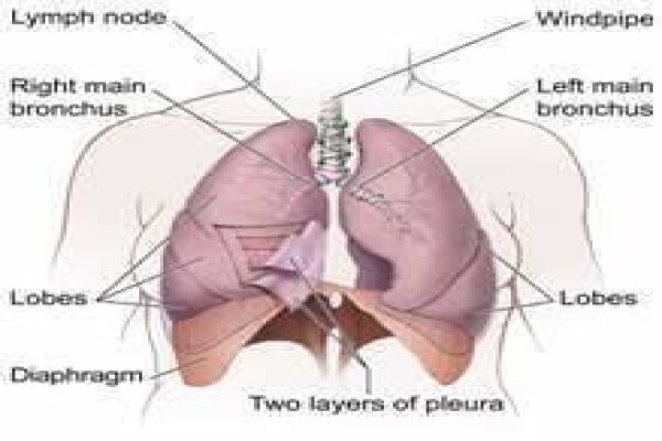India Cancer Surgery Site